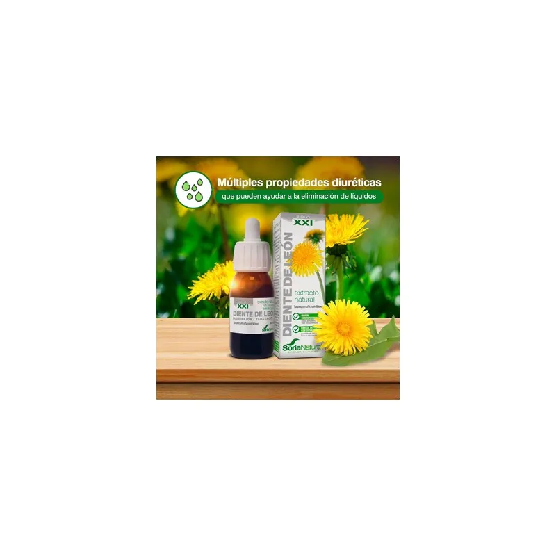 Extracto de Diente de León 50ml | Farmacia Barata Extracto de Diente de León 50ml | Farmacia Barata