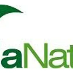 Germen de Trigo Alecosor 300g | Farmacia Barata