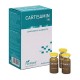 Plantapol Cartisamin, 10 viales
