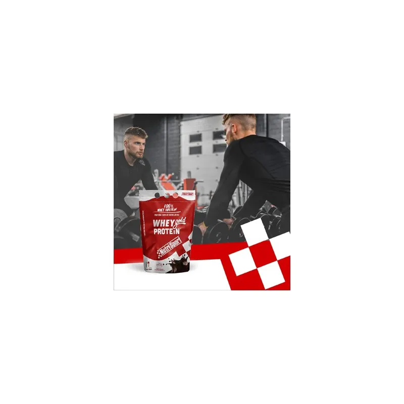 Nutri Sport Whey Gold Choco | Farmacia Barata Nutri Sport Whey Gold Choco | Farmacia Barata