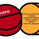 Bioserum Dorpis, 30 cápsulas