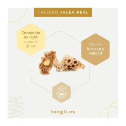 Tongil Jalea Real 1000 20 viales | Farmacia Barata