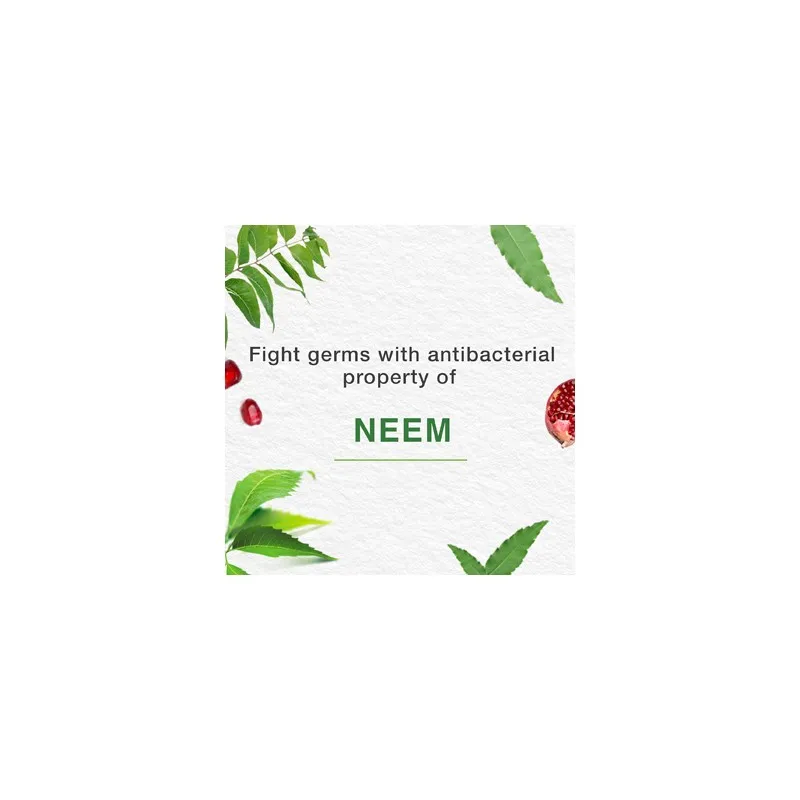 Dentífrico Neem Granada 100 g Himalaya | Farmacia Barata