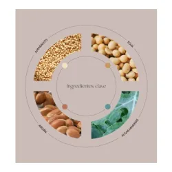 Byoode Amaranth Face Oil, 30 ml Byoode Amaranth Face Oil, 30 ml