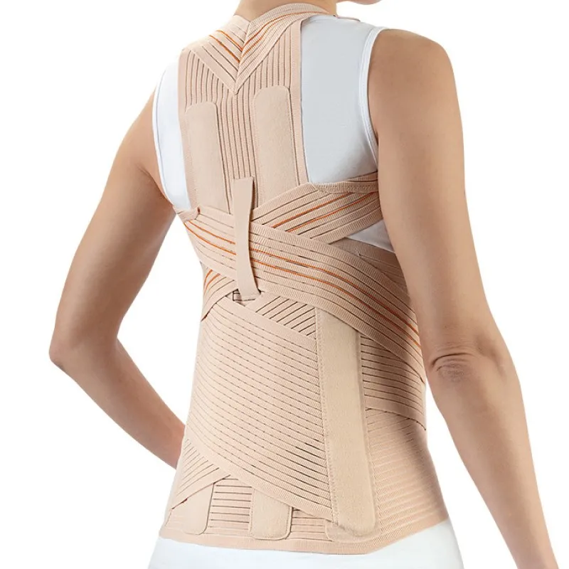 Faja Dorso Lt-320 Orliman Faja Dorso Lt-320 Orliman