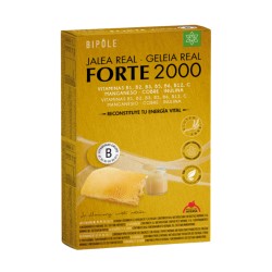 Intersa Jalea Real Forte 2000, 20 ampollas de 15 ml