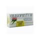 Holistica Oligophytum H17, 100 gramos de Manganeso y Cobre