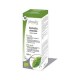Physalis Extracto de Té Verde (Camelia Sinensis), 100 ml