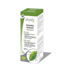 Physalis Extracto de Té Verde (Camelia Sinensis), 100 ml