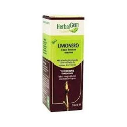 Herbalgem Limonero Macerado Glicerina, 50 ml