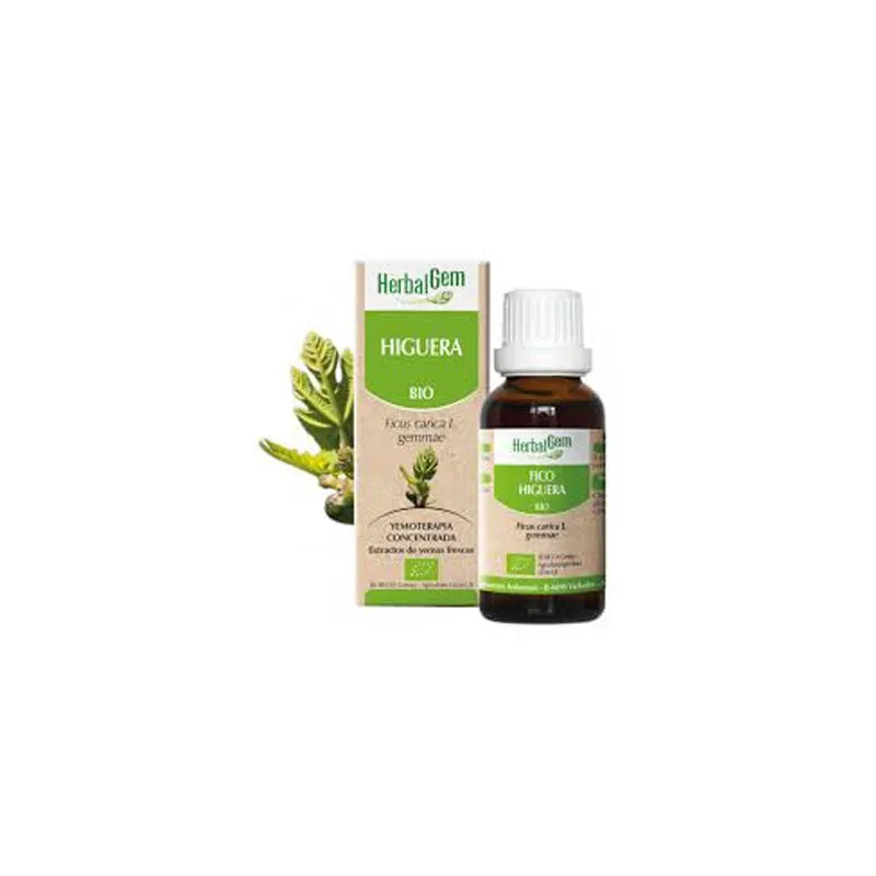 Herbalgem Higuera 15 ml | Farmacia Barata