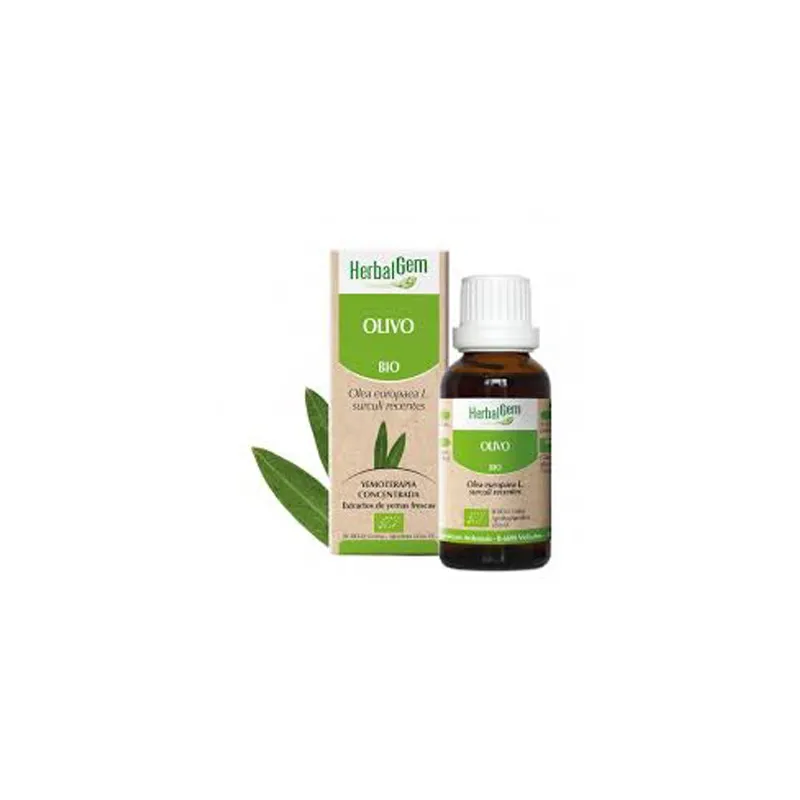 Herbalgem Olivo, 15 ml | Farmacia Barata
