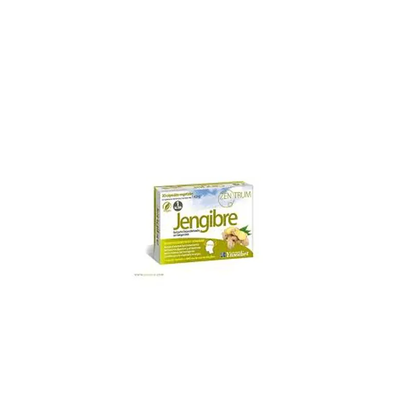 Zentrum Jengibre 30 Cápsulas | Farmacia Barata