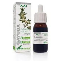 Soria Natural Extracto de Gayuba XXI, 50 ml