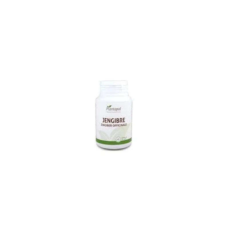 Jengibre 600 mg 60 Cápsulas Plantapol | Farmacia Barata