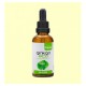 Plantis Extracto Ginkgo Biloba Eco, 50 ml