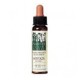 Plantis Mostaza-21 Eco Elixir Floral (Dc. Bach), 10 ml