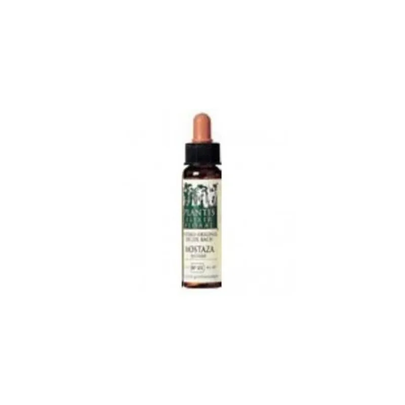Mostaza-21 Eco Elixir Floral 10 ml | Farmacia Barata Mostaza-21 Eco Elixir Floral 10 ml | Farmacia Barata