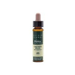 Plantis Castaño Rojo-25 Eco Elixir Floral (Dr. Bach), 10 ml