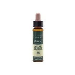 Castaño de Indias Elixir Floral Eco (Dr. Bach), 10ml