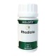 Equisalud Holofit Rhodiola, 50 cápsulas