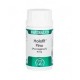 Equisalud Holofit Pino (Pycnogenol), 50 cápsulas