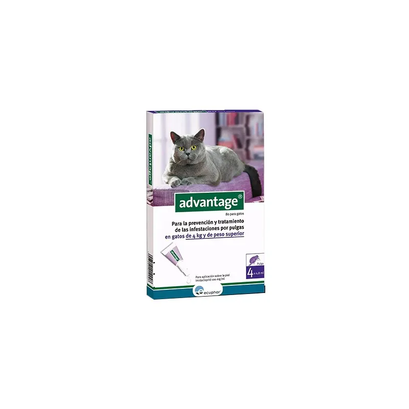 advantage-80-gato-4-8-kg-4-pipetas