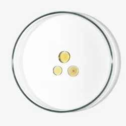 Babé Multi Defense Age Rescue 7X2ml Babé Multi Defense Age Rescue 7X2ml