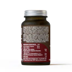 Hifas da Terra Mico-Rei, 70 cápsulas| Farmacia Barata Hifas da Terra Mico-Rei, 70 cápsulas| Farmacia Barata