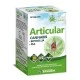 Ynsadiet Zentrum Cannabis Articular, 60 capsulas
