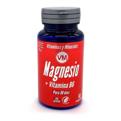 Ynsadiet MG+VIT B6, 60 comprimidos