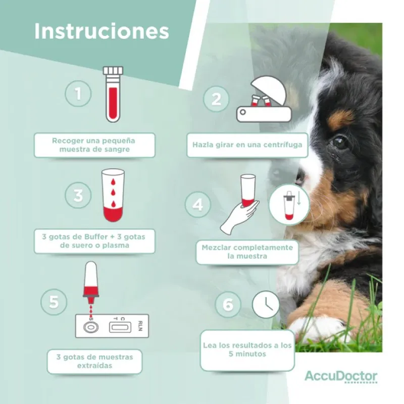 Accudoctor Test de relaxina - RLN- (embarazo) para perros, 2 test Accudoctor Test de relaxina - RLN- (embarazo) para perros, 2 test