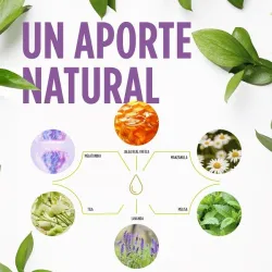 Jelly Kids dulces sueños ingredientes Jelly Kids dulces sueños ingredientes