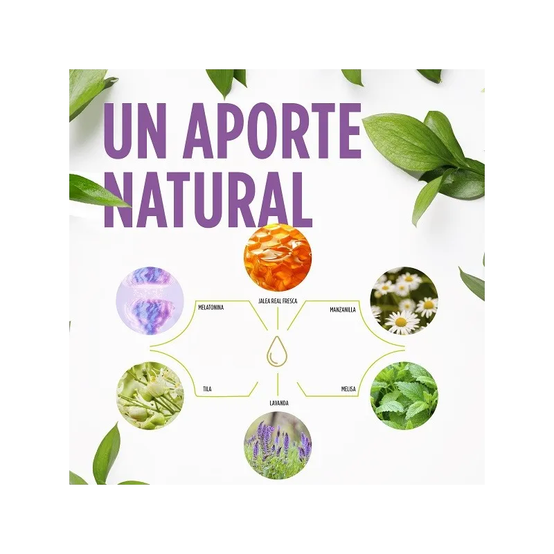 Jelly Kids dulces sueños ingredientes Jelly Kids dulces sueños ingredientes