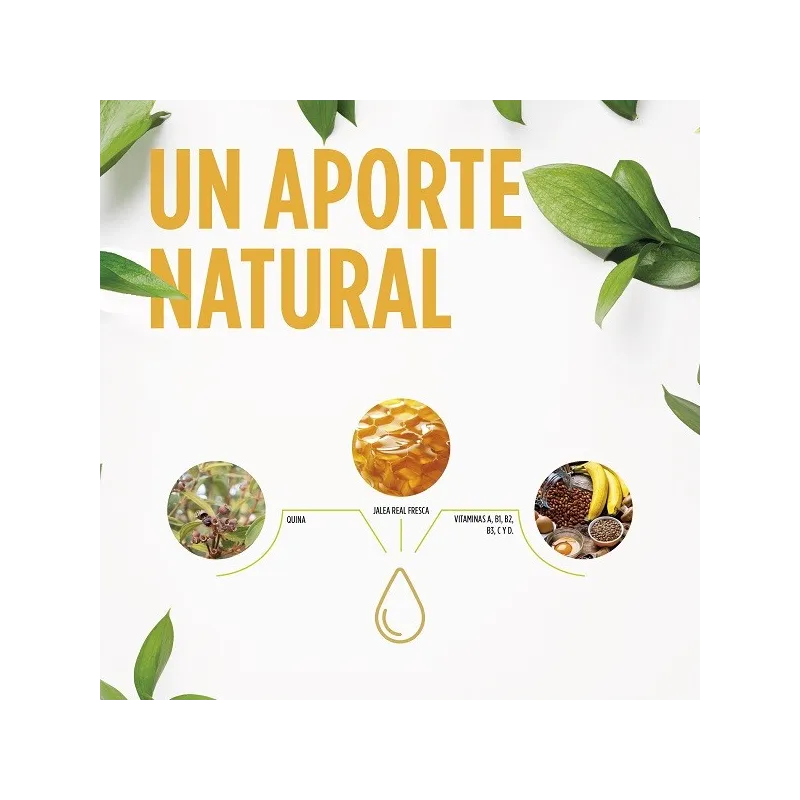 Jelly Kids Prevent ingredientes Jelly Kids Prevent ingredientes