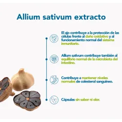 Bonusan Allium Sativum Extracto, 60 Tabletas| Farmacia Barata Bonusan Allium Sativum Extracto, 60 Tabletas| Farmacia Barata