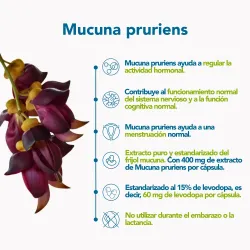 Bonusan mucuna pruriens, 60 cápsulas| Farmacia Barata Bonusan mucuna pruriens, 60 cápsulas| Farmacia Barata