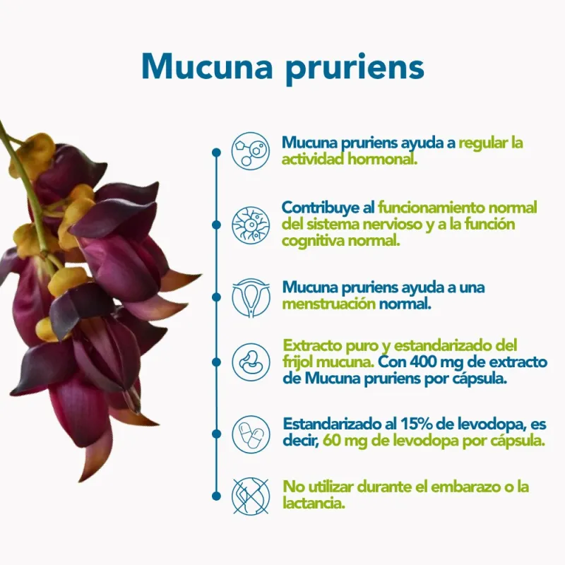 Bonusan mucuna pruriens, 60 cápsulas| Farmacia Barata Bonusan mucuna pruriens, 60 cápsulas| Farmacia Barata