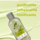 Dr Organic Champú de Árbol de Té, 265ml.