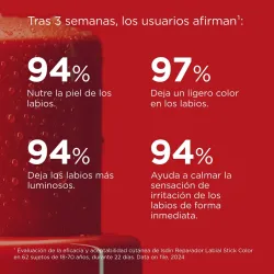 Isdin Reparador Labial Stick Granate, 4 g Isdin Reparador Labial Stick Granate, 4 g