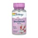 Solaray Shatavari 500 mg, 60 vegcaps