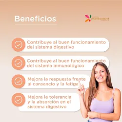 Mundo Natural Simbioline Vientre Plano, 60 cápsulas Salud intestinal Mundo Natural Simbioline Vientre Plano, 60 cápsulas Salud intestinal