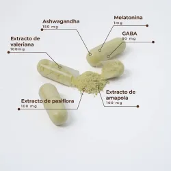 Kobho Protocolo Sueño Neuro Sleep, 28 cápsulas + viales Kobho Protocolo Sueño Neuro Sleep, 28 cápsulas + viales