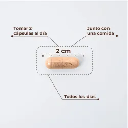 Kobho W-Balance, 60 capsulas