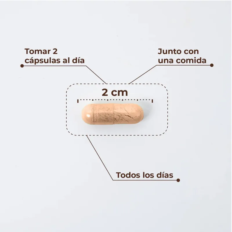 Kobho W-Balance, 60 capsulas