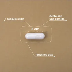 Kobho Liposomal Vitamina C, 60 capsulas Kobho Liposomal Vitamina C, 60 capsulas