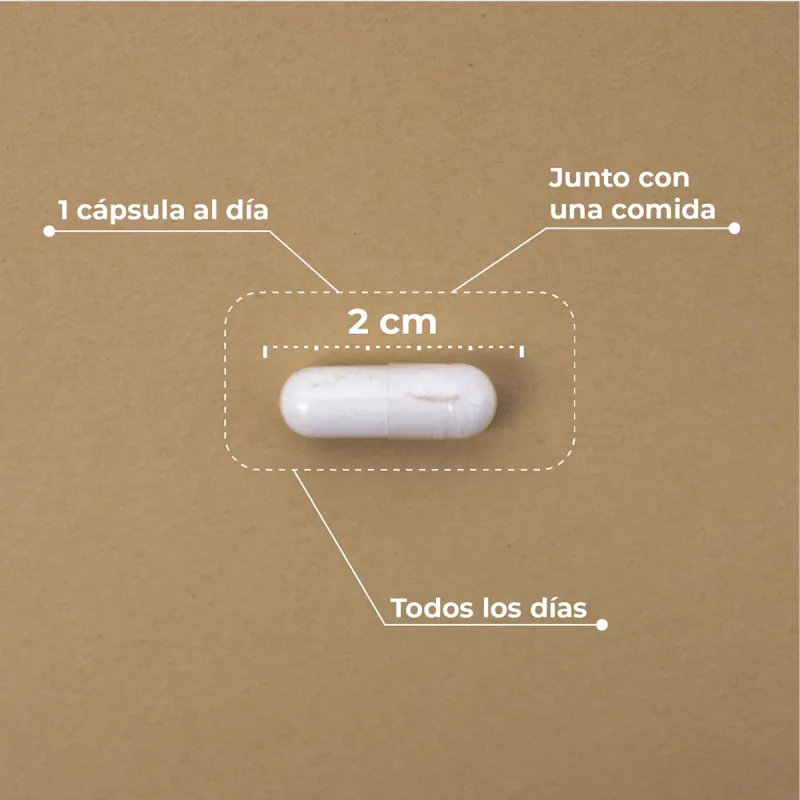 Kobho Liposomal Vitamina C, 60 capsulas Kobho Liposomal Vitamina C, 60 capsulas
