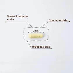 Kobho Trans Resveratrol + Quercetina, 60 capsulas Kobho Trans Resveratrol + Quercetina, 60 capsulas