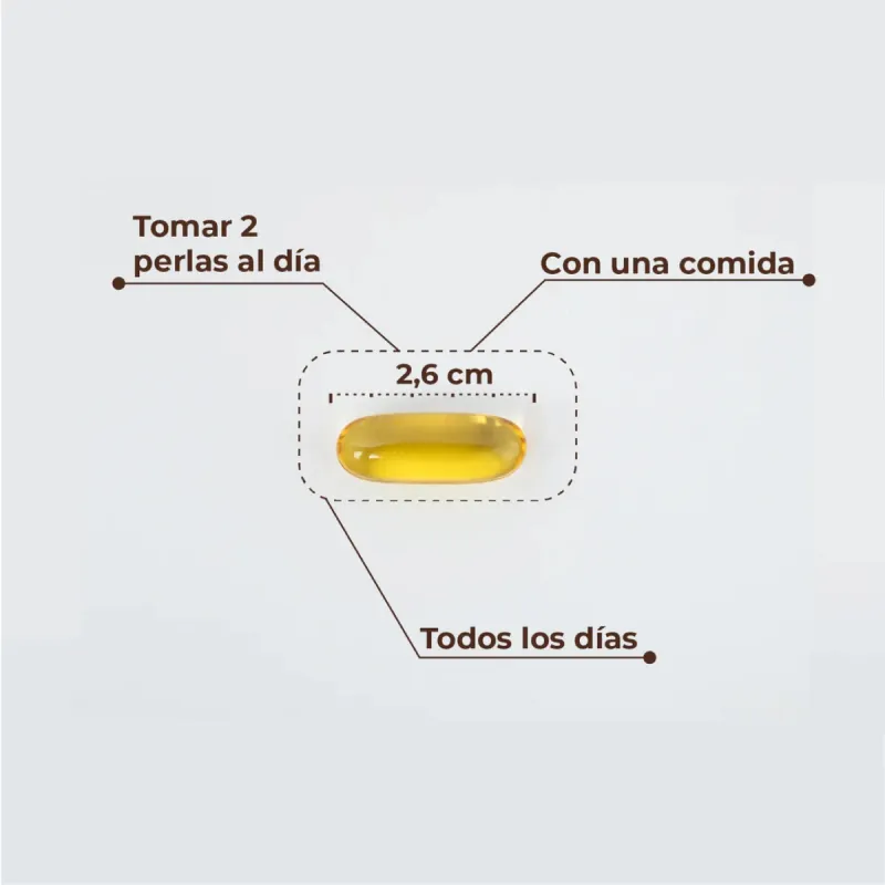 Kobho Omega 3, 60 capsulas Kobho Omega 3, 60 capsulas