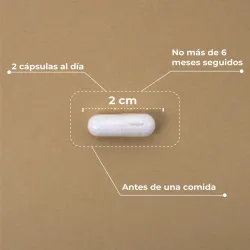 Kobho Pre-Post Probiotico, 60 capsulas Kobho Pre-Post Probiotico, 60 capsulas